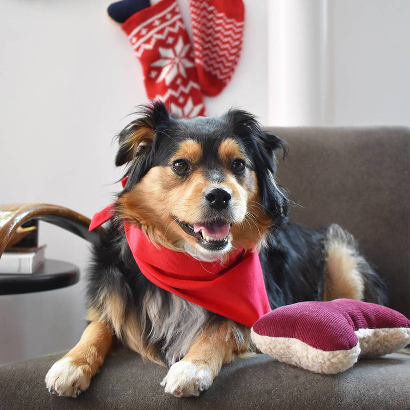 A small, fluffy dog in a red bandana sits on a gray chair next to the MODERNBEAST Holiday Lavender Zenbone, with red holiday stockings hanging on the wall behind them.