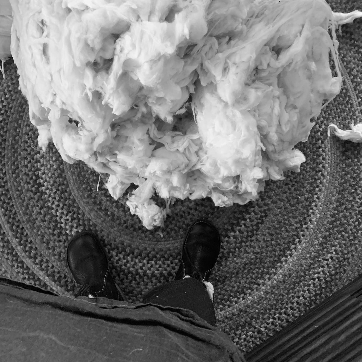 Ciao Gatto Cat Market - Organic Catnip Infused Wool Sardines 