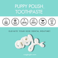 Image of Wag & Bright Supply Co. - Puppy Polish Toothpaste - Filet Mignon (Beef) packaging. It features benefit icons: removes plaque, freshens breath, made with baking soda, coconut oil, stevia, and is lab tested. Text reads: "Elevate your dog's dental routine with this natural oral care solution for canines!" Toothy swirl shown.