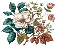 Delicate white and pink roses with green and brown leaves in a vintage botanical style on white—an inspiring motif for the FRENCH GIRL Eau Du Maroc Organic Vegan Natural Aromatherapy Perfume by FRENCH GIRL.