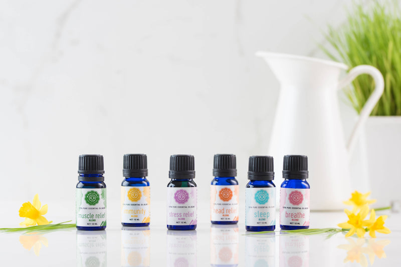 Six small Woolzies essential oil bottles, including the Woolzies Breathe Blend Essential Oil for respiratory support, are labeled for muscle and stress relief. Arranged on a white surface with yellow flowers and grass—ideal for aromatherapy.