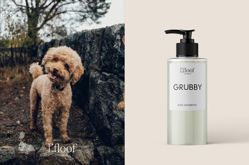 A curly-haired dog stands outside by a stone wall, sticking its tongue out. Next to the dog is a bottle of L'floof GRUBBY Peppermint/Eucalyptus Natural Dog Shampoo with a pump dispenser, set against a plain light background. This cruelty-free shampoo features refreshing scents of peppermint and eucalyptus.