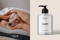 The image shows a dog cozily wrapped in a blanket on the left and a bottle of L'floof SNIFF Natural Oat & Aloe Dog Shampoo with a pump dispenser on the right. The dog's head is peeking out from the blanket, and it appears relaxed and content.