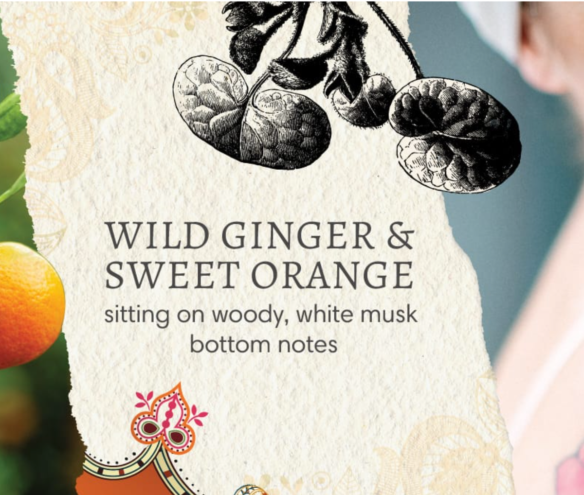 Barefoot Venus Ginger & Orange | Shea Butter & Macadamia Oil Body Cream