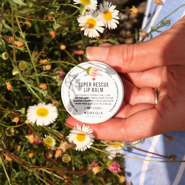 A hand holds a small tin of Norfolk Natural Living Rescue Lip Balm above blooming daisies in sunlight. The label of the plant-based balm is clearly visible, with part of a blue and white cloth in the background.