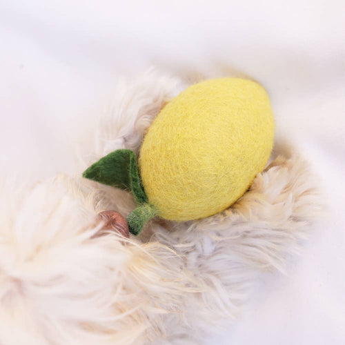 A fluffy white dog's paws hold the MODERNBEAST Wool Lemon Dog and Cat Toy, a yellow wool toy with a green leaf, resting on a white surface.