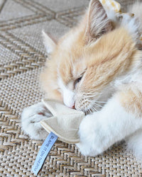 A fluffy orange and white cat lounges on a woven mat, playfully hugging and biting the MODERNBEAST Kitty Fortune Cookie Organic Catnip Cat Toy, looking content and clearly enjoying its new favorite toy from MODERNBEAST.