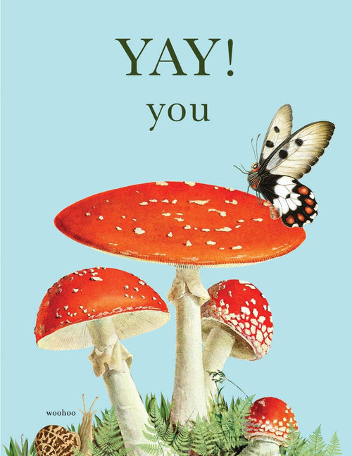 P. Flynn Design / Phun House - YAY! you eco-friendly greeting card features red and white spotted mushrooms with a butterfly, surrounded by green ferns and grasses. "YAY! you." is printed above, making it a charming way to celebrate someone special.
