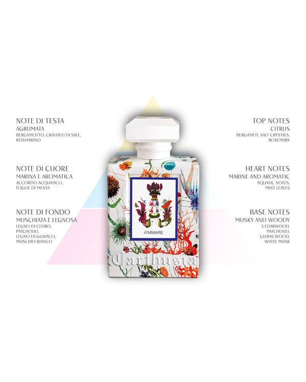 The Carthusia I Profumi di Capri A'mmare Reed Diffuser Refill (500ml) evokes Capri with citrus, marine, musk, and wood notes. The refill features colorful sea and floral-themed packaging inspired by the original perfume bottle.