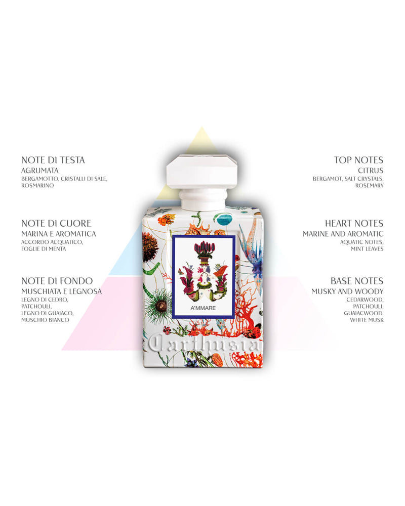 The Carthusia I Profumi di Capri A'mmare Reed Diffuser Refill (500ml) evokes Capri with citrus, marine, musk, and wood notes. The refill features colorful sea and floral-themed packaging inspired by the original perfume bottle.