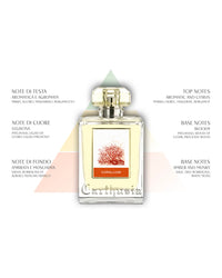 The Carthusia I Profumi di Capri Corallium Reed Diffuser (230ml) features a glass bottle with a gold cap, surrounded by Italian and English notes of citrus and woods—a refined home fragrance accent.