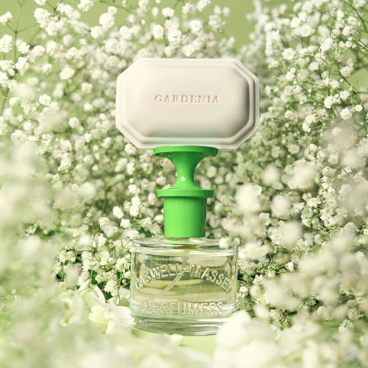 A 60ml Caswell Massey Gardenia Eau de Toilette bottle with a green and white cap is surrounded by delicate baby's breath, highlighting this floral fragrance against a light green background.