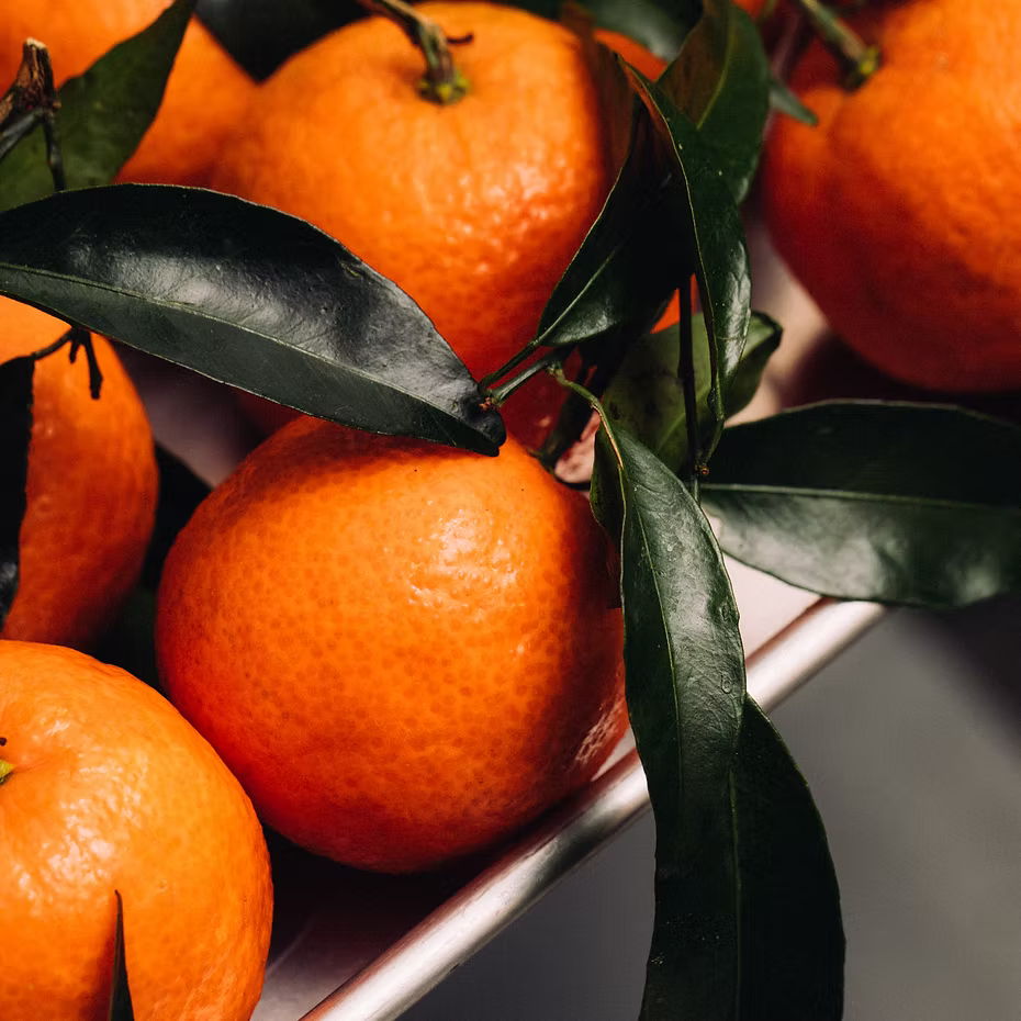 A close-up of ISULA parfums Clementine eaux de toilette captures the vibrant citrus fragrance of fresh, ripe tangerines with glossy green leaves, evoking Mediterranean perfume.