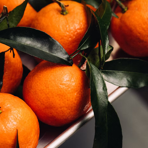 ISULA parfums Corsican Clementine Precious Oil