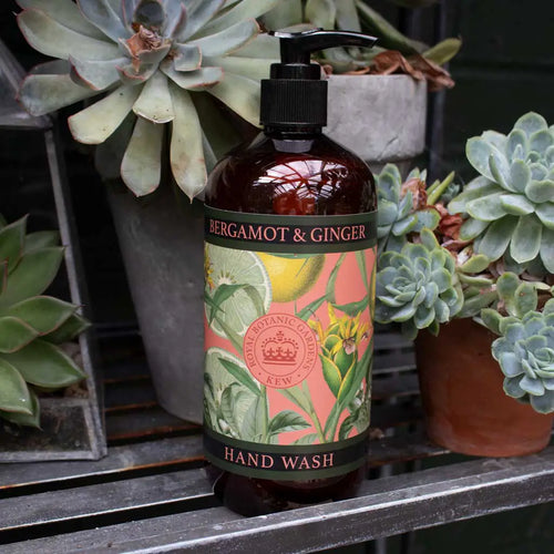 A bottle of The English Soap Co. Kew Gardens Bergamot and Ginger Hand Wash sits on a metal shelf surrounded by potted succulents. The dark bottle features a colorful label with botanical illustrations, including a crown and the Kew Gardens logo, and is topped with a black pump dispenser.