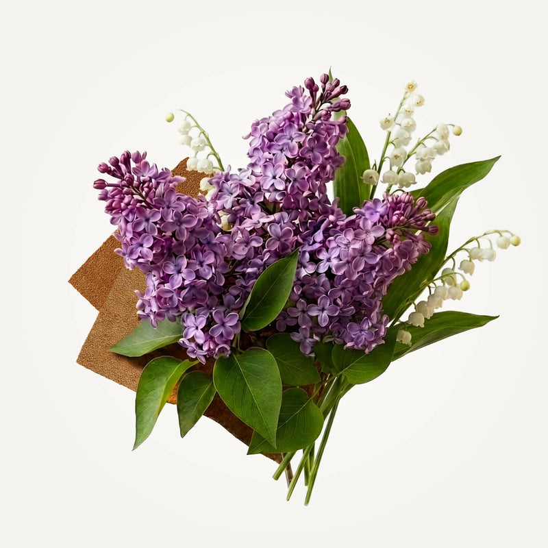 A bouquet of purple lilacs and white lily of the valley with green leaves, wrapped in brown paper, captures the fresh floral scent of Caswell-Massey Lilac eau de toilette - 7.5ml by Caswell-Massey.