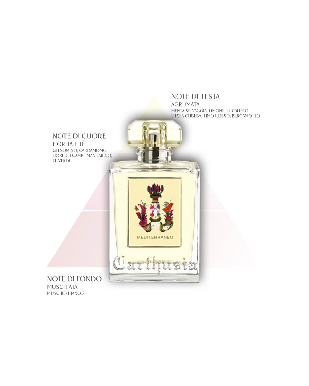 An elegant Carthusia I Profumi de Capri Mediterraneo Reed Diffuser - 500ml bottle labeled "mediterraneo" with a detailed floral design on its label, placed against a soft pink background with descriptive text about its fragrance notes, reminiscent of a casa fragrant