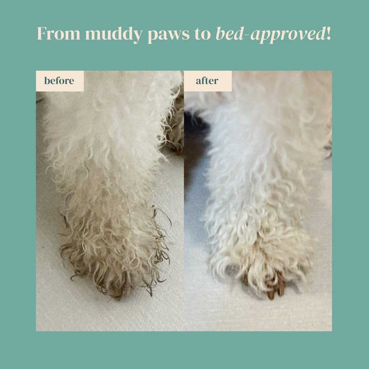 Side-by-side photos of a white dog's paw: left is dirty, right is clean after using Petora FURFECTION Rice Water Paw & Facial Shampoo. Text: "From muddy paws to bed-approved!" with "before" and "after" labels. Brand: Petora.