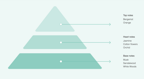 A three-layered pyramid diagram inspired by Acqua dell'Elba Stella EdP 15ml Travel Size highlights its top (bergamot, orange), heart (jasmine, cotton flowers, orchid), and base (musk, sandalwood, white woods) notes—evoking a Mediterranean essence.