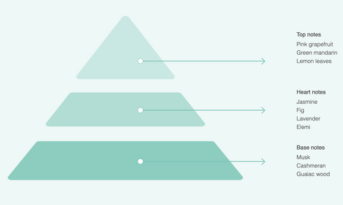 A three-tier fragrance pyramid for Acqua dell'Elba Riviera EdP 15ml Travel Size shows top notes (pink grapefruit, green mandarin, lemon leaves), heart notes (jasmine, fig, lavender, elemi), and base notes (musk, cashmeran, guaiac wood) with arrows pointing right.