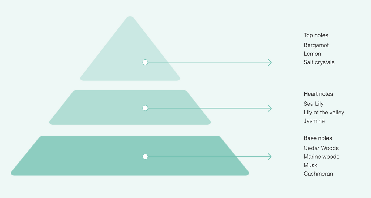 A pyramid diagram for Acqua dell'Elba Essenzamare EdP 15ml Travel Size highlights top notes of bergamot, lemon, salt crystals; heart of sea lily, muguet, jasmine; and base notes of cedar and marine woods—reflecting a Floral Marine scent.