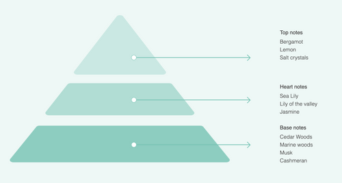 A pyramid diagram for Acqua dell'Elba Essenzamare EdP 15ml Travel Size highlights top notes of bergamot, lemon, salt crystals; heart of sea lily, muguet, jasmine; and base notes of cedar and marine woods—reflecting a Floral Marine scent.