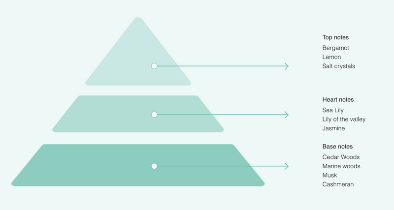 A pyramid diagram for Acqua dell'Elba Essenzamare EdP 15ml Travel Size highlights top notes of bergamot, lemon, salt crystals; heart of sea lily, muguet, jasmine; and base notes of cedar and marine woods—reflecting a Floral Marine scent.