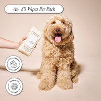 A fluffy, brown dog sits on a neutral background with its tongue out. A hand holds Goldie - So Fresh, So Clean Probiotic Wipes by Goldie (80 wipes per pack), shown as hypoallergenic and ideal for gentle dog grooming.