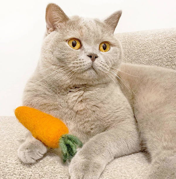 MODERNBEAST WOOL CARROT Wool Dog and Cat Toy