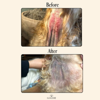 Before-and-after photos show a dog’s neck healing from redness and irritation after using Goldie - Miracle Mist, a vet-approved hypochlorous acid spray. The beige background displays the Goldie name at the bottom.
