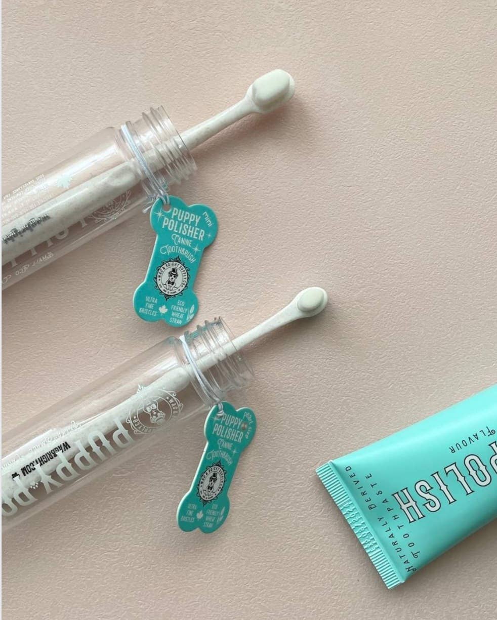 Two clear tubes each contain a white swab adorned with teal bone-shaped labels displaying "Wag & Bright Supply Co. - Puppy Polisher Pearl Eco Toothbrush - (Extra Small)" alongside a dog graphic, highlighting canine dental health. A partially visible teal tube is positioned nearby. All items are neatly arrayed on a pale surface and belong to a BPA-free toothbrush set from Wag & Bright Supply Co.