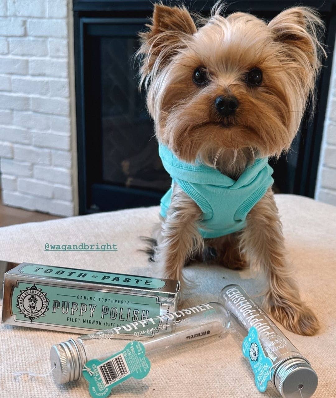 A small dog in a light blue shirt sits beside Wag & Bright Supply Co.'s canine dental care products, featuring a box of "Puppy Polish" toothpaste and two containers of their Puppy Polisher Mini Eco Toothbrush (Small) made from sustainable bioplastic. The display rests on a beige surface against a white brick wall.