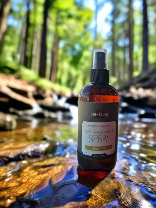 A bottle of Fox + Hound Harness and Leash Spray rests on a rock in a forest stream, utilizing bio-organisms. Sunlight filters through tall trees, creating a serene scene. The label says, "Harness and Leash Spray" with the phrase "For the Love of Dogs.