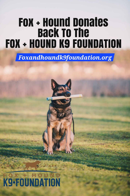 A German Shepherd sits on grass with a stick, while above, text reads, "Fox + Hound supports the Fox + Hound K9 Foundation." Visit "foxandhoundk9foundation.org." At the bottom is a silhouette logo with odors banished by Magnolia + Tonka scent from Fox + Hound's Odor Eliminator Soy Candle.