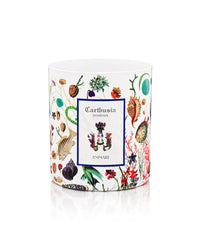 Carthusia A'mmare Scented Candle - 300gm