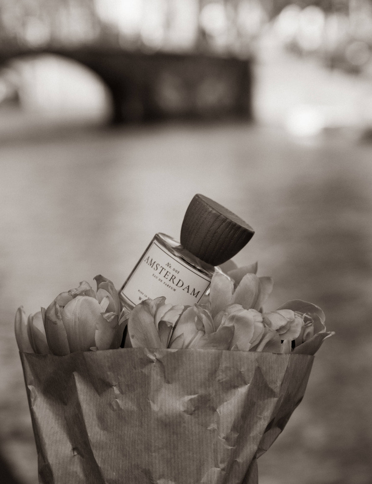 Wayfarer Amsterdam Perfume: A Travel Inspired Unisex Perfume, 50 mL