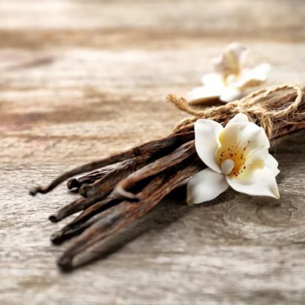 A bundle of dried vanilla beans tied with twine, adorned with white vanilla flowers on rustic wood, evokes the rich aroma of ISULA parfums Vanilla Noir eau de toilette.