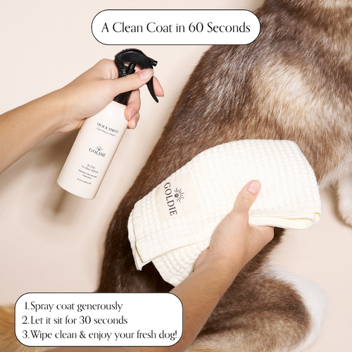 A hand sprays a bottle of Goldie - Quick Spritz dry shampoo onto a dog's coat, while another hand holds a Goldie cloth. Text reads: "A Clean Coat in 60 Seconds" with three cleaning steps listed below.