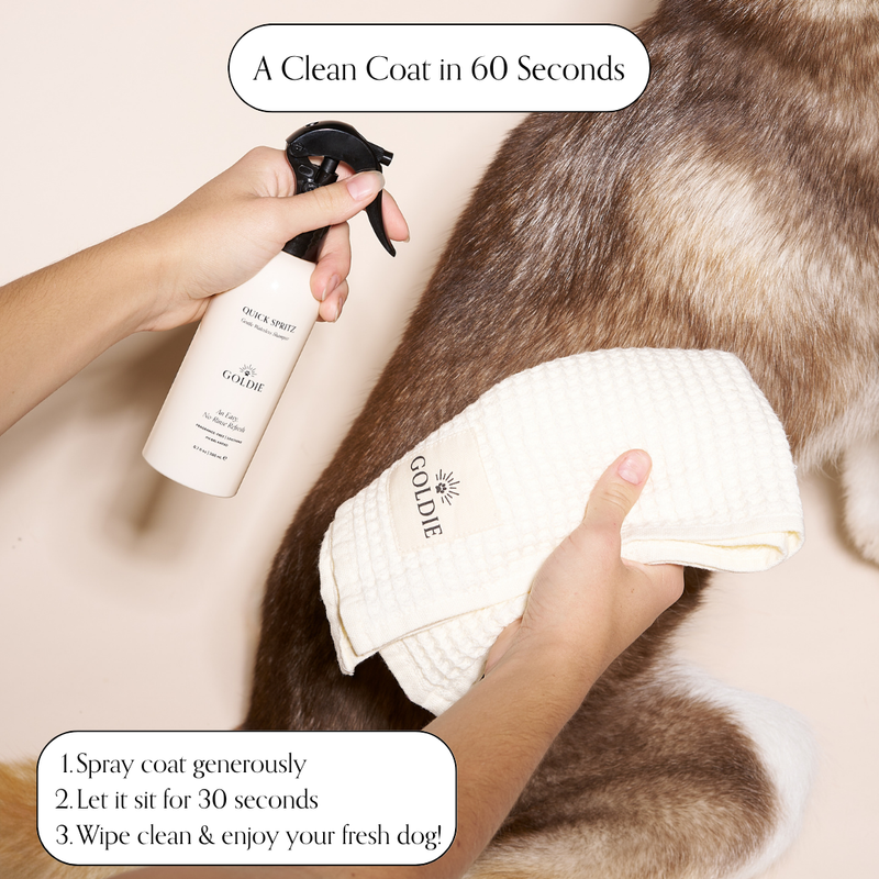 A hand sprays a bottle of Goldie - Quick Spritz dry shampoo onto a dog's coat, while another hand holds a Goldie cloth. Text reads: "A Clean Coat in 60 Seconds" with three cleaning steps listed below.