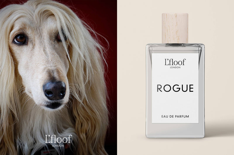 Split-image with a long-haired dog on the left and a perfume bottle on the right. The dog, radiating elegance with its light fur against a dark red background, embodies pet grooming perfection. The perfume bottle, labeled "L'floof ROGUE Dog Perfume Fragrance Spray," stands poised against a light beige background.