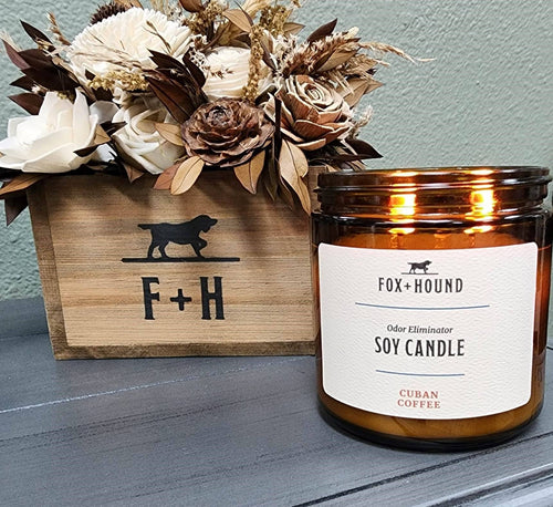 A Fox + Hound Odor Eliminating Soy Candle - Cuban Coffee scented candle illuminates the table beside a matching wooden box. Inside, dried cream and brown flowers are showcased against a soothing light green wall, creating a serene coffee lover's haven.
