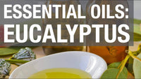 A bowl of yellowish Woolzies Eucalyptus Essential Oil sits by brown glass bottles, eucalyptus leaves, and seed pods. Large text overlay: "WOOLZIES EUCALYPTUS ESSENTIAL OIL—Natural cleaning and respiratory support.