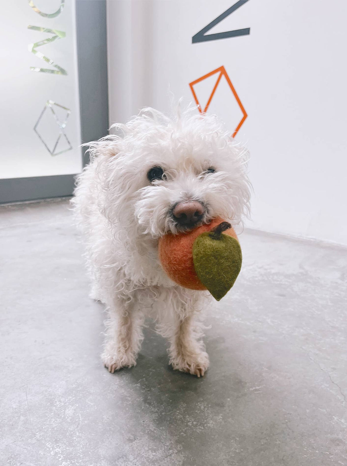 MODERNBEAST DOGGY PEACH Wool Dog Toy