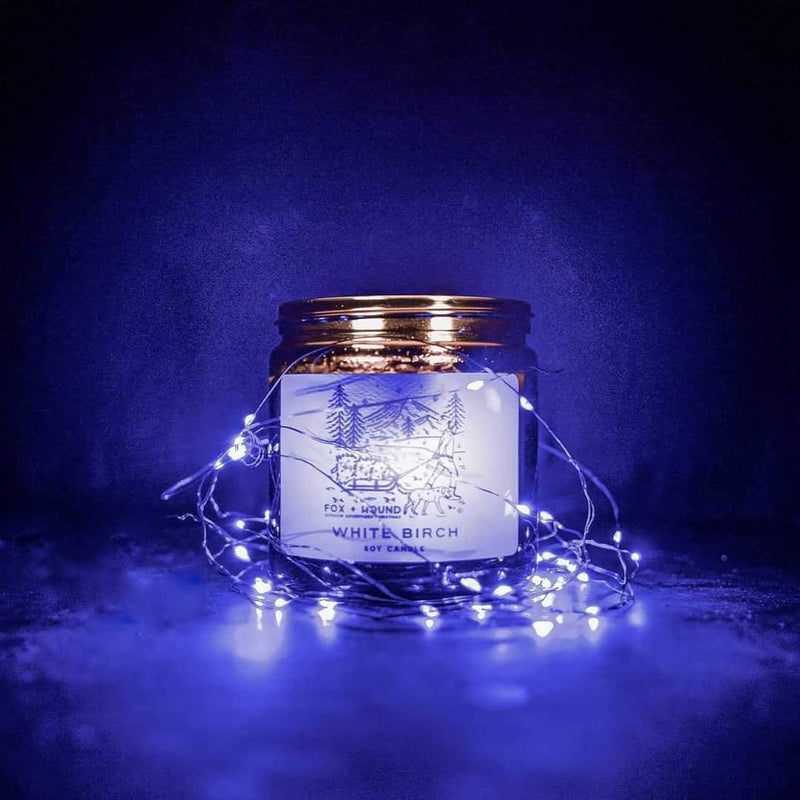 A lit Fox + Hound Odor Eliminator Soy Candle – White Birch scent in a glass jar glows among string lights, filling the air with a fresh aroma against a dark blue background.