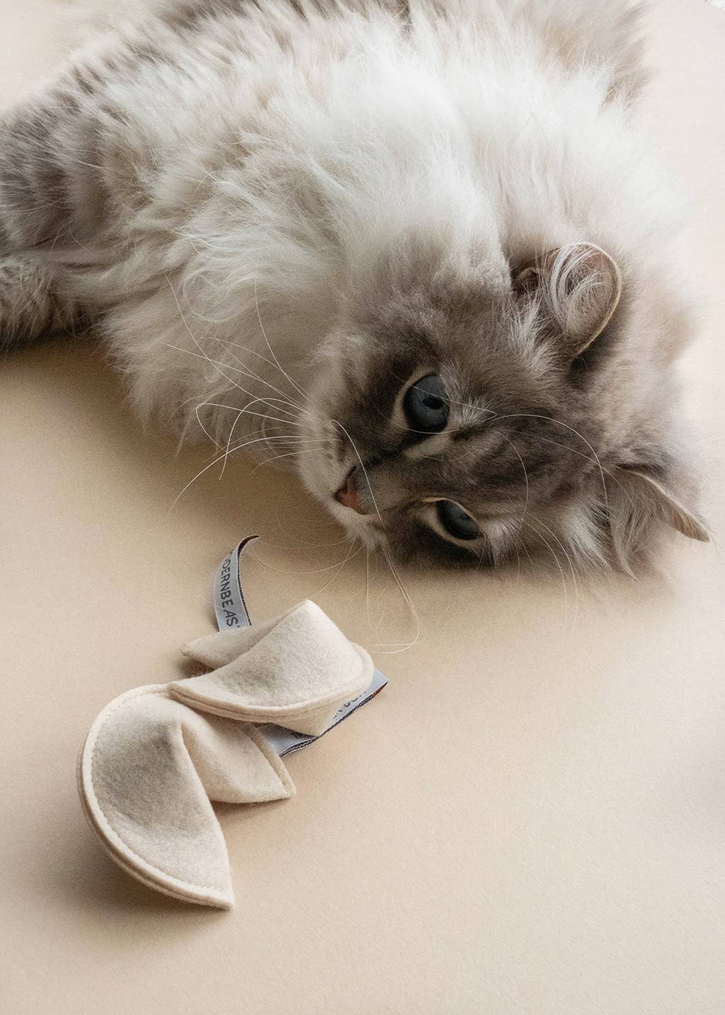 A fluffy, long-haired cat with blue eyes lounges on a beige surface, eyeing the MODERNBEAST - Kitty Fortune Cookie Organic Catnip Cat Toy by MODERNBEAST nearby.