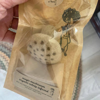 Ciao Gatto Cat Market - Organic Catnip Infused Needle Felted Magic Mushroom 