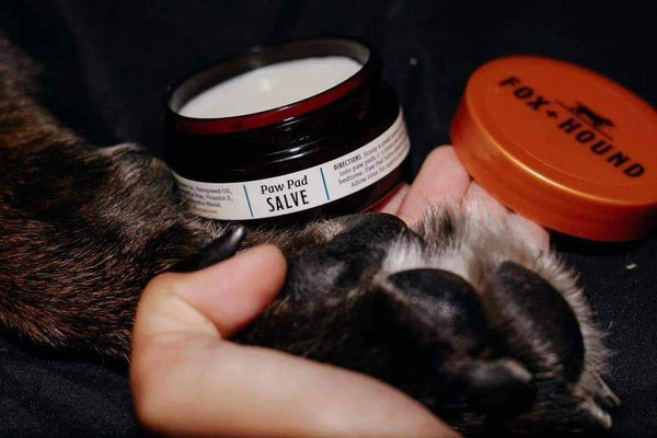 A hand holds a dog's paw next to an open jar labeled "Fox + Hound - Paw Pad Salve," featuring a red lid marked "FOX + HOUND," implying the salve's healing ingredients offer nourishing moisture to the dog's paw.