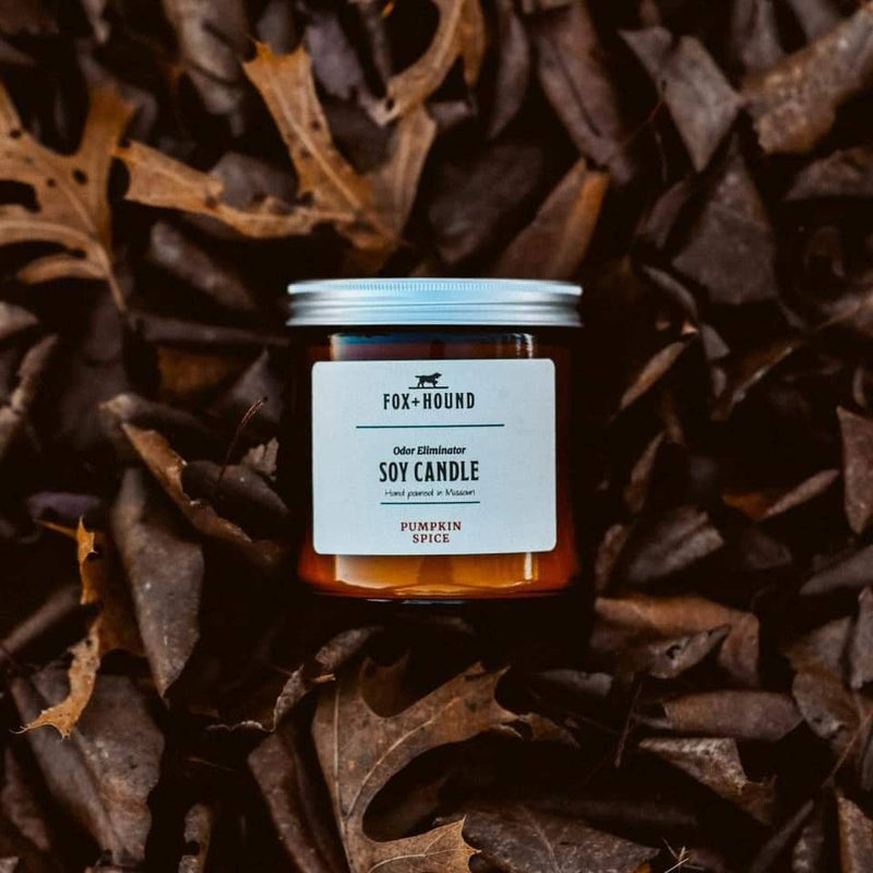 The Fox + Hound Odor Eliminator Soy Candle - Pumpkin Spice, with its white label and silver lid, sits on dried autumn leaves—perfect for adding cozy fall vibes and freshness to any space.