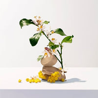 Roger & Gallet Neroli Wellbeing Fragrant Water 1 oz