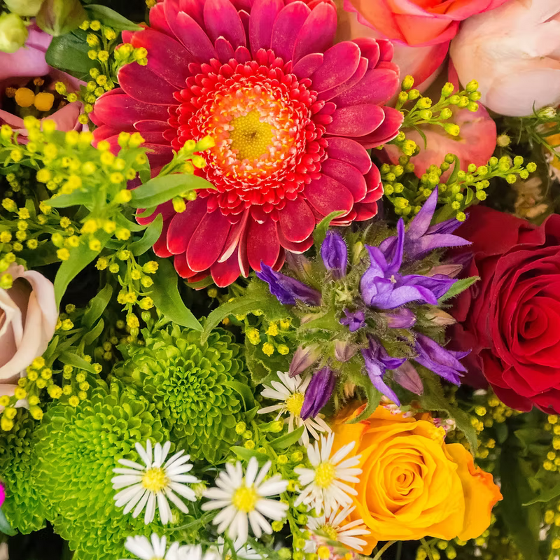 A vibrant bouquet inspired by ISULA parfums Liberté eau de parfum, featuring a bold red gerbera daisy, purple stars, yellow and orange roses, green chrysanthemums, white daisies, and lush foliage—echoing ISULA parfums’ Corsican spirit.